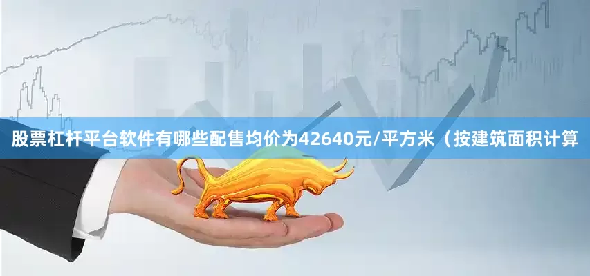 股票杠杆平台软件有哪些配售均价为42640元/平方米（按建筑面积计算