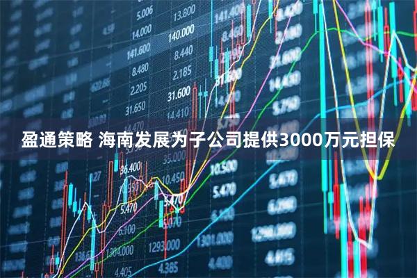 盈通策略 海南发展为子公司提供3000万元担保