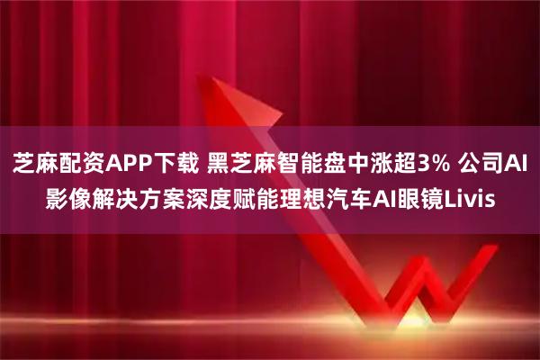 芝麻配资APP下载 黑芝麻智能盘中涨超3% 公司AI影像解决方案深度赋能理想汽车AI眼镜Livis